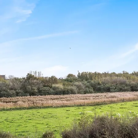 Dom wakacyjny Duinenhuisje